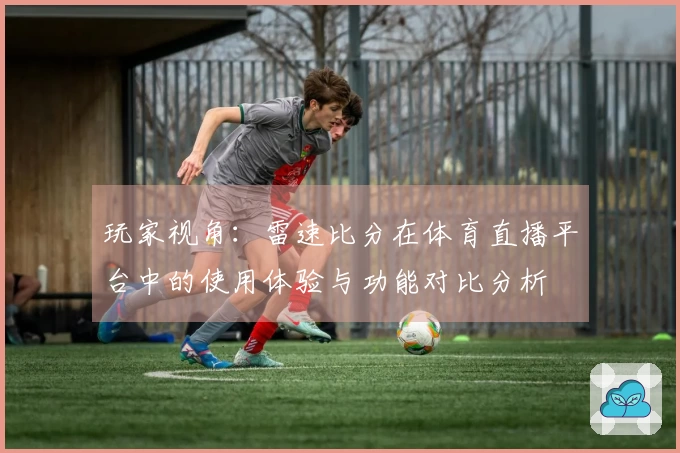 玩家视角:雷速比分在体育直播平台中的使用体验与功能对比分析